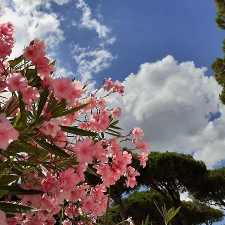 Romea Family Camping Casal Borsetti Exterior foto
